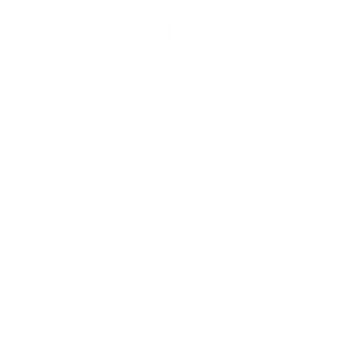 The Colombian Coffee Dealer